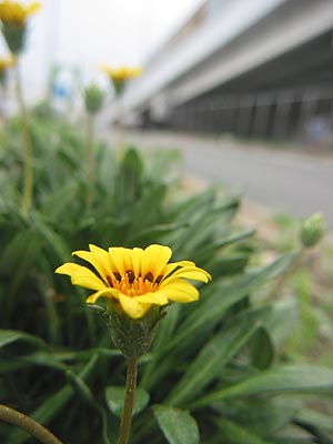 a0041508_21301226.jpg