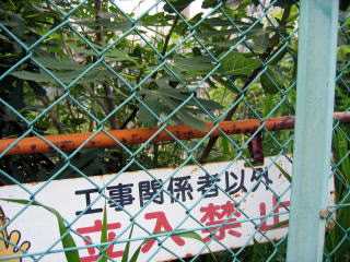 b0006210_2222624.jpg