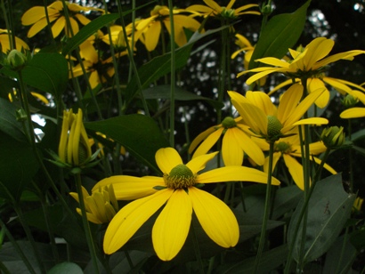 e0083212_1627106.jpg