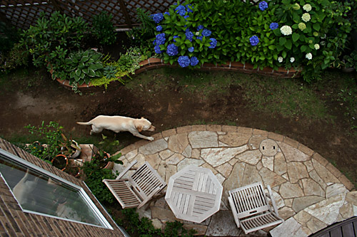 d0026414_13251983.jpg