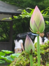 c0054118_20373778.jpg