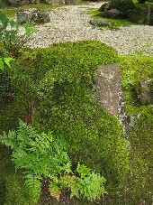c0054118_20382512.jpg