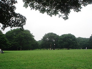 d0023323_23164047.jpg