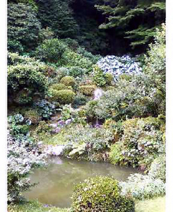 f0060424_127415.jpg