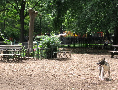 f0028125_1236851.jpg