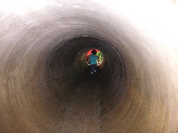 d0006126_1633062.jpg