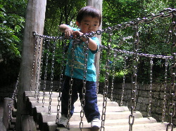 d0006126_1651354.jpg