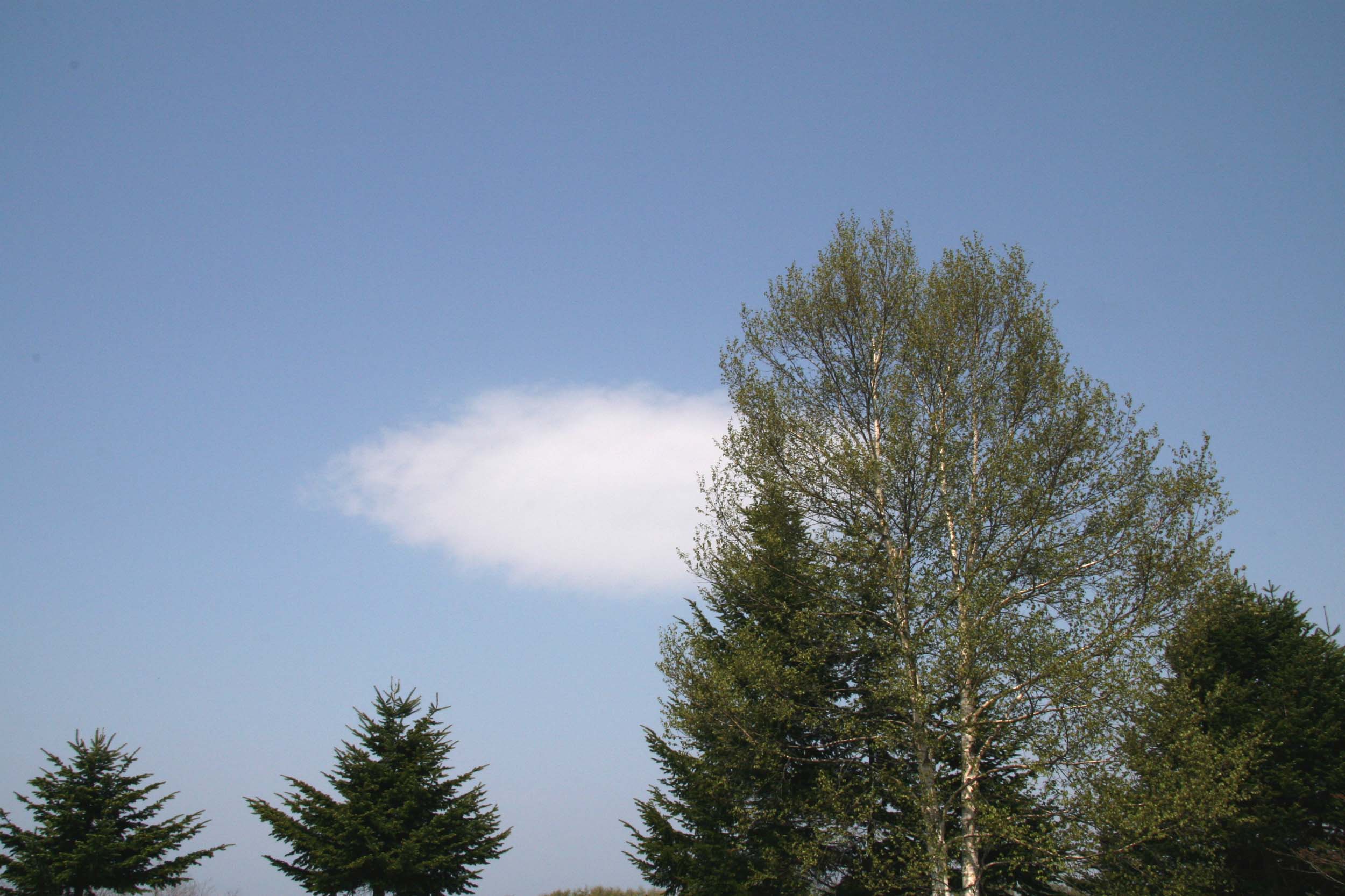 a0076043_23504990.jpg