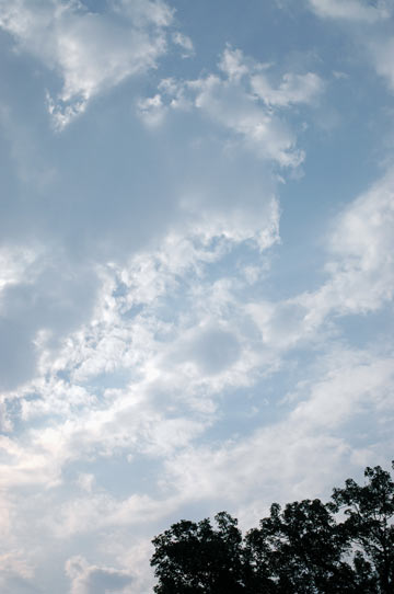 d0008146_824228.jpg