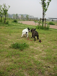 c0015354_222128.jpg