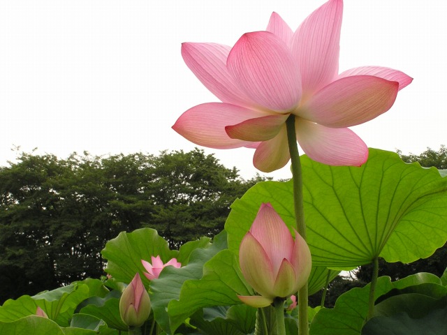 a0018655_16235385.jpg