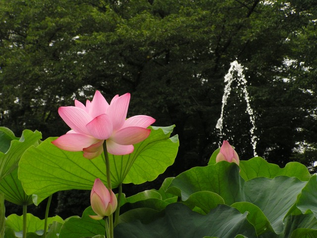 a0018655_16251740.jpg