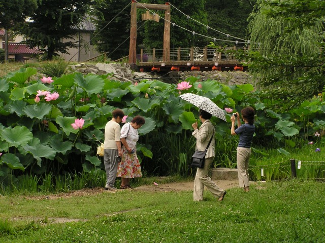 a0018655_16293272.jpg