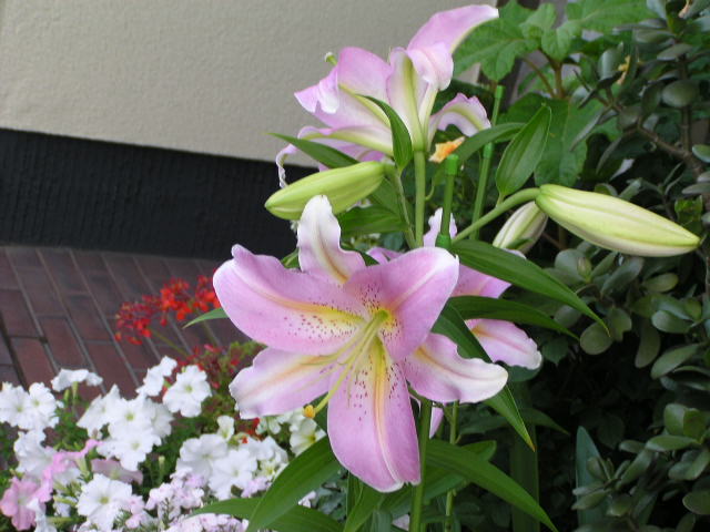 f0074659_0363671.jpg