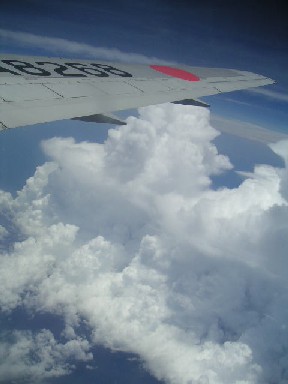 c0032863_954413.jpg