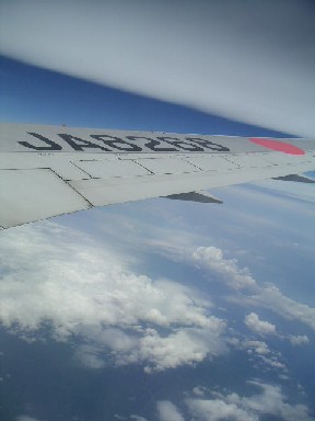c0032863_9545766.jpg