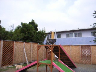 e0030663_21533078.jpg