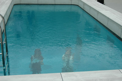 c0050264_0384766.jpg