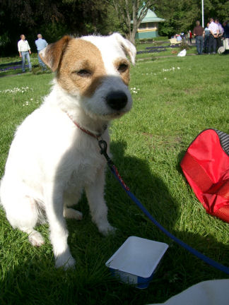 e0079166_0235856.jpg