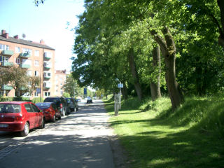 e0079166_422173.jpg