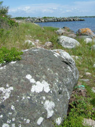 e0079166_5122381.jpg