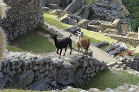 f0059671_023979.jpg