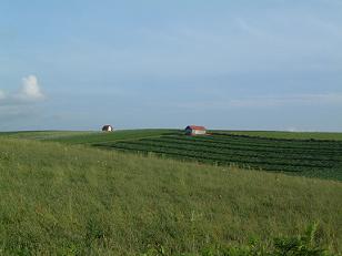 f0016981_21382693.jpg