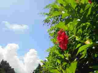 b0016292_033124.jpg