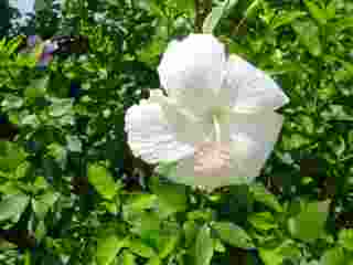 b0016292_0332677.jpg