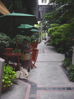 e0045002_20322320.jpg