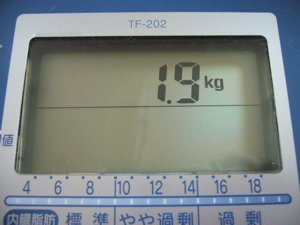 b0081503_12141622.jpg
