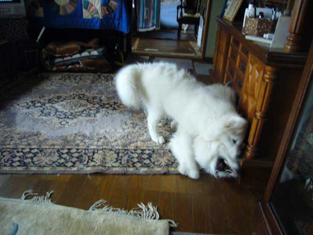 e0018604_18141355.jpg