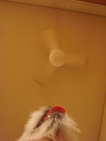 f0080105_105911.jpg