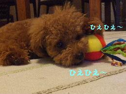 a0007906_2225218.jpg