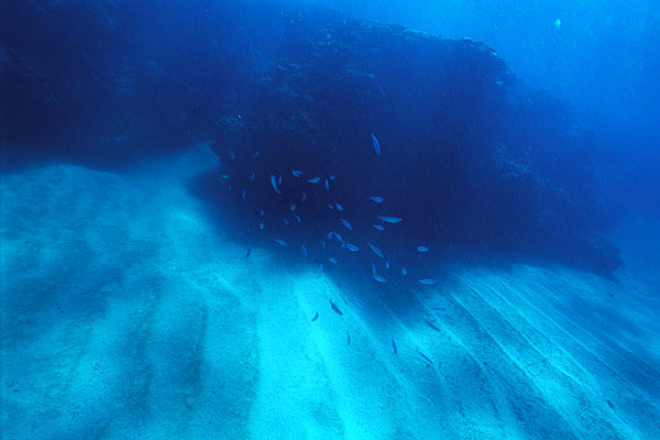 c0064907_21221789.jpg