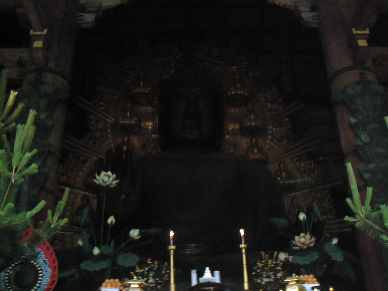 d0070007_1145394.jpg