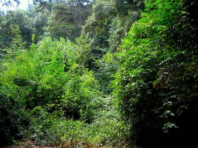 b0064411_453366.jpg
