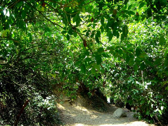 b0064411_482280.jpg