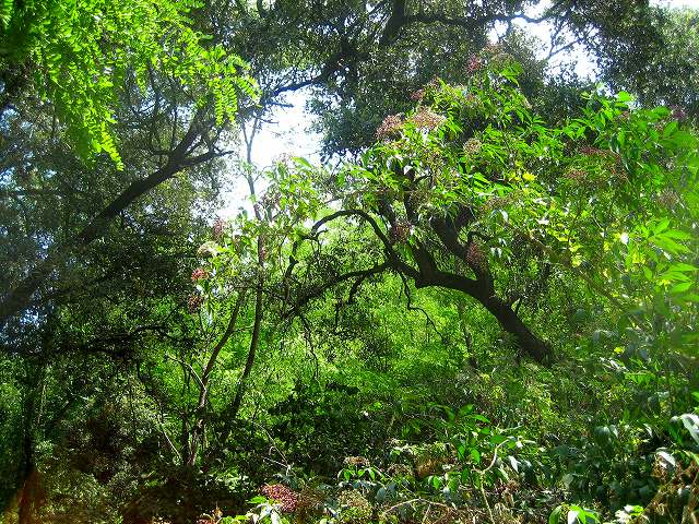 b0064411_49647.jpg