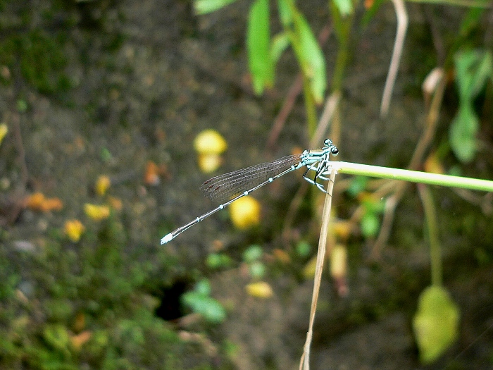 e0002314_16364314.jpg