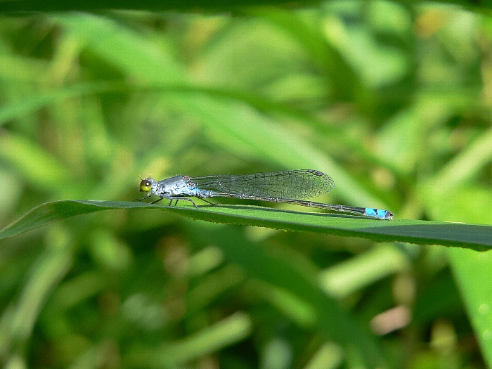 e0002314_1644118.jpg