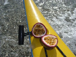 c0000816_13284910.jpg