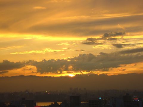 f0100920_1038320.jpg