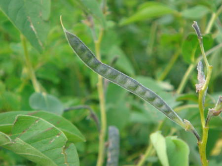 f0023625_16242842.jpg