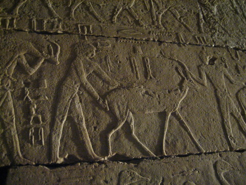d0064134_474495.jpg