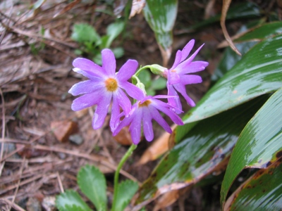 b0097836_19334220.jpg