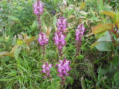 b0097836_1936283.jpg