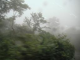 a0008538_2134085.jpg