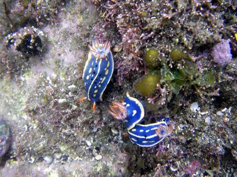 e0041143_2241285.jpg