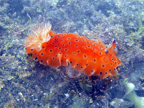 e0041143_22431269.jpg